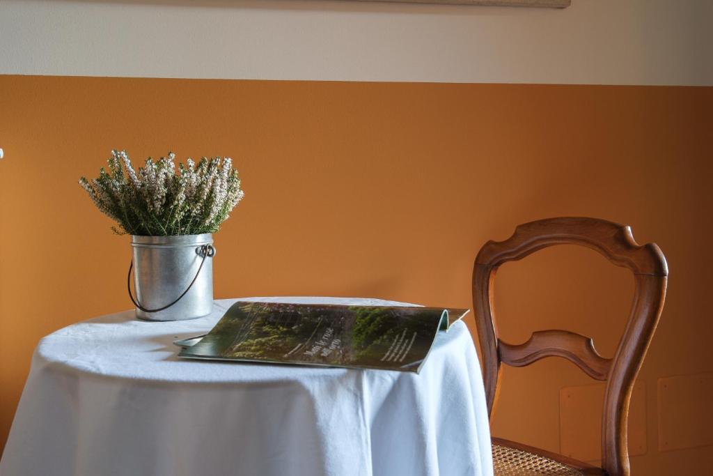 Foto Hemerocallis-Zimmer